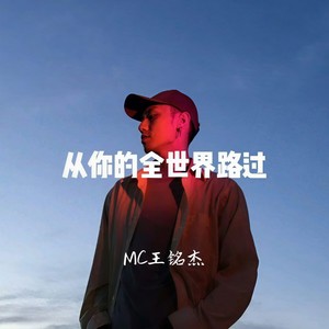 从你的全世界路过