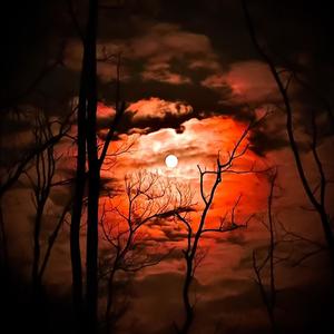 Darkness is your only friend (Explicit)