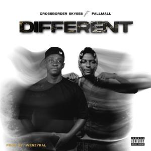 Different (feat. Unrully Pallmall)