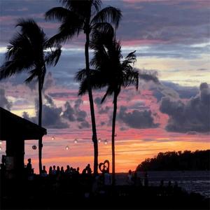 那你们怎么联系