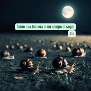 Come una lumaca in un campo di sogni