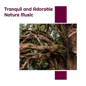 Tranquil and Adorable Nature Music