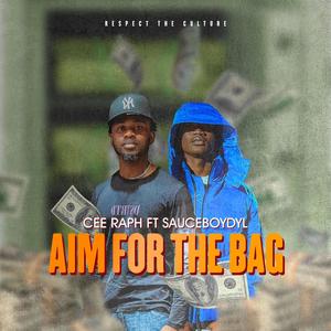 Aim For The Bag (feat. Sauceboydyl) [Explicit]