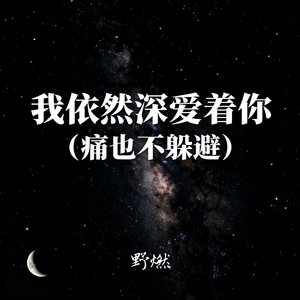 我依然深爱着你 (痛也不躲避)