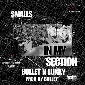 In My Section (feat. Bullet & Lukky) (Explicit)