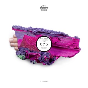 Remedy (Extended Version)