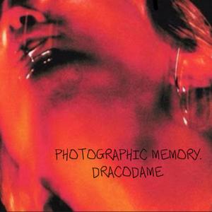 Photographic Memory (Explicit)