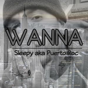 Wanna (Explicit)