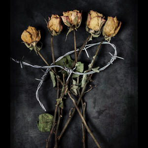 Walked In (Explicit)