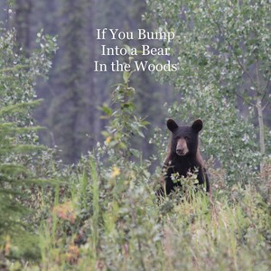 If You Bump Into a Bear in the Woods