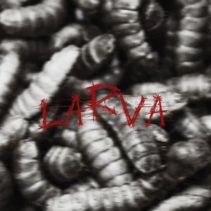 LARVA (feat. Poco Conto) [Explicit]