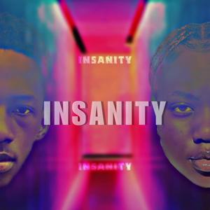 Insanity (feat. Zheedestine)