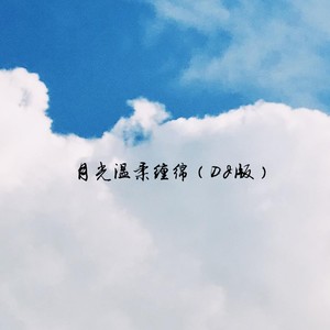 月光温柔缠绵 (DJ版)