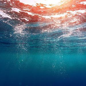 Lose blues (feat. Tiziana Negrello & Students)