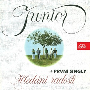 Kvítek