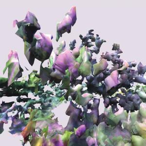 Anti-Entropic Chamber