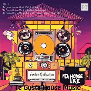 Te Gusta House Music