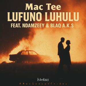 Lufuno Luhulu (feat. Ndamzeey & Blaq A.k.s)