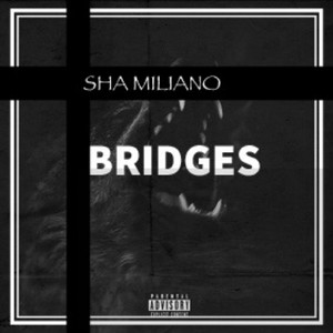 Bridges (Explicit)