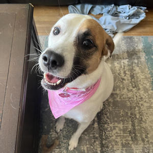 When The Light Peaks Thru