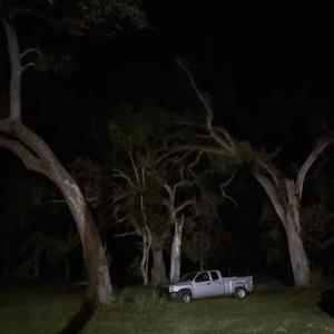 greener grass & brighter moons (Explicit)