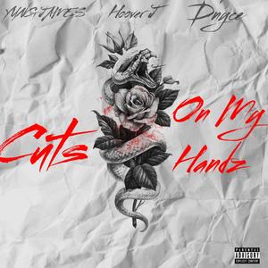 Cuts On My Hands (feat. YUNG JAMES & Hoover J) [Explicit]