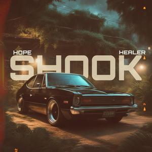 SHOOK (feat. Emcee Healer) (Explicit)