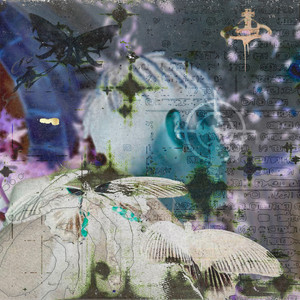 THROUGH THORNS (Explicit)