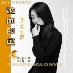 被困的鱼