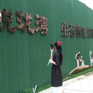 漂洋过海来看你