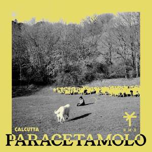 Paracetamolo (TY1 Remix|Explicit)