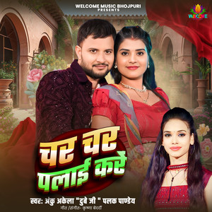 Char Char Plaai Kare