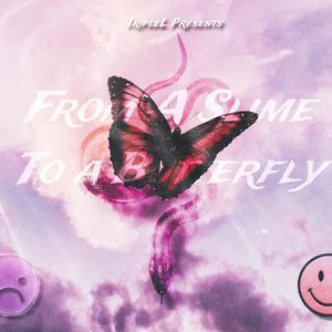 1Night Stand (Explicit)