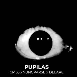 PUPILAS (Explicit)