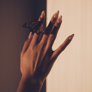 Butterflies (Compromises)