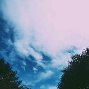 Sun Tzu’s Resonance (Explicit)