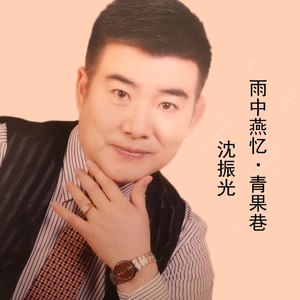 雨中燕忆·青果巷