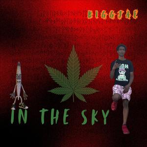 In The Sky (Explicit)
