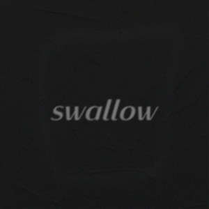 swallow