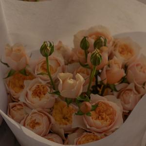 清晨慕黄昏 (prod.by redkiller)