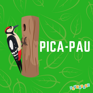 Pica-Pau