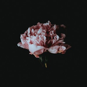 Sineg - I Still Remember