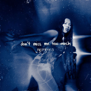 don't miss me too much (val Remix)