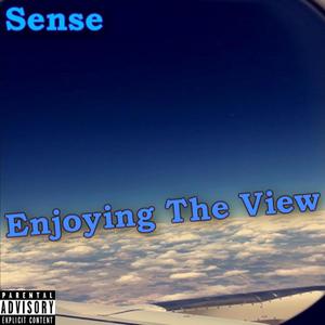 Enjoying The View (Explicit)