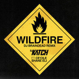Wildfire (DJ Braindead Remix)