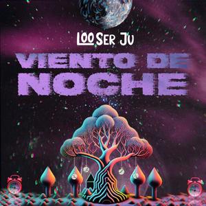 Viento de Noche (feat. Neda Miguel)