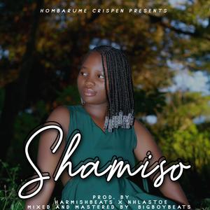 Shamiso (feat. Hombarume Crispen)