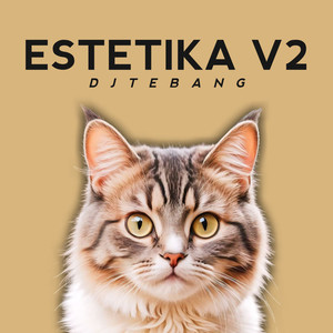 Estetika, Vol. II