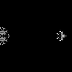 Fissure & Fracture