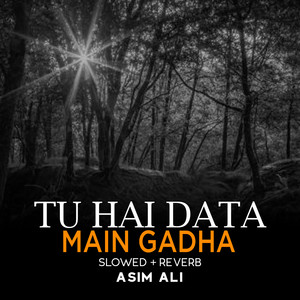 Tu Hai Data Main Gadha Lofi